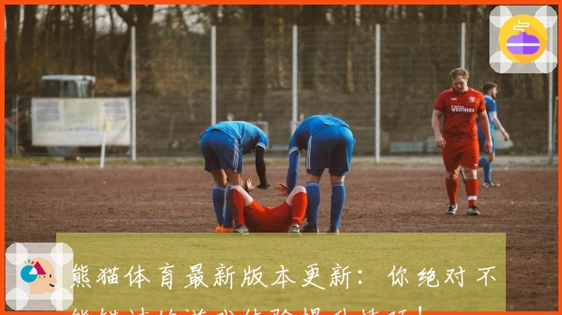 熊猫体育最新版本更新：你绝对不能错过的游戏体验提升技巧！