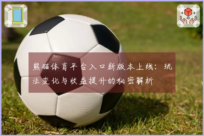 熊猫体育平台入口新版本上线：玩法变化与收益提升的秘密解析